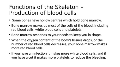 KS3 Skeletal System