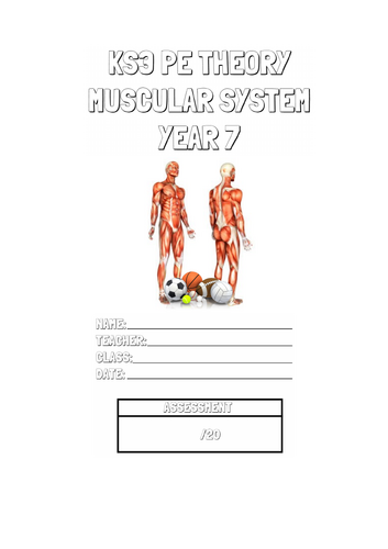 KS3 Muscular System Lesson