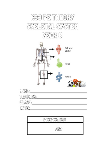 KS3 Skeletal System  Theory Lesson