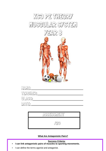 KS3 Muscular System Lesson