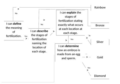 Fertilisation lesson PPT and Worksheets