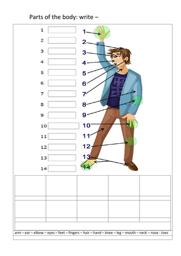 Parts of the Body: Interactive Writing Worksheet for Young Learners