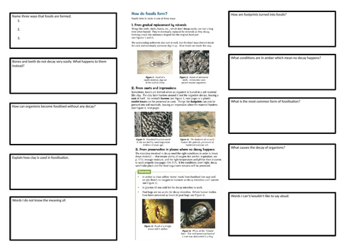 KS3 Fossils Literacy Frayer Model