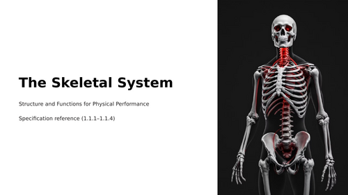 GCSE PE - The Skeletal System