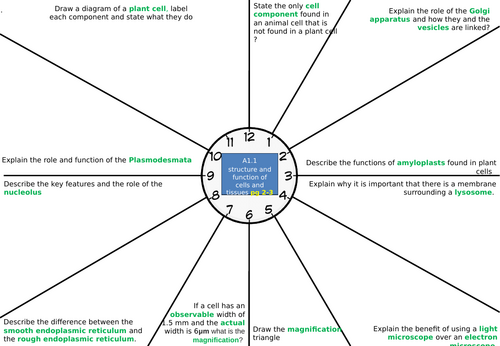AAQ Biology Unit 1 Revision clocks Cells, prokaryotes, specialised, epithelial/endothelial/muscles