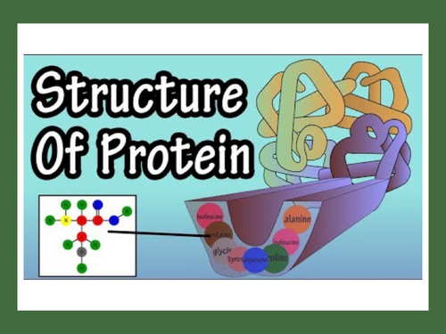 WJEC Level 3 Food Science and Nutrition Unit 1 LO2 AC2.1 Structure of Nutrients