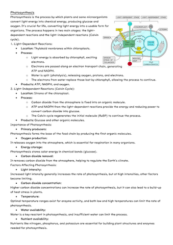 1 page summary of Photosynthesis at A Level