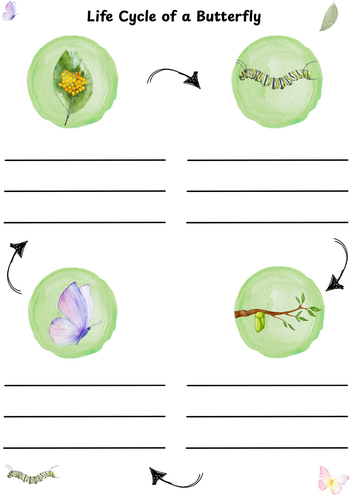 Life Cycle of a Butterfly Writing