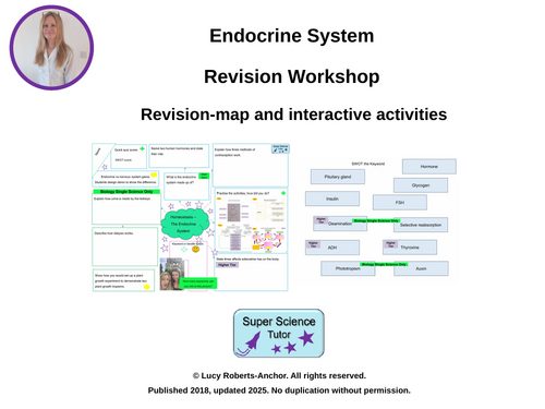 GCSE Homeostasis and the Endocrine System Revision Workshop