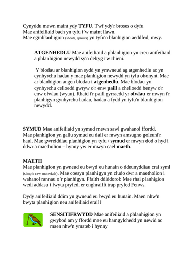 Taflen Adolygu Gwyddoniaeth: Blwyddyn 7 - 7 proses bywyd