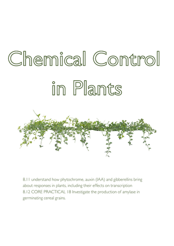 Plant hormones A-level (International award Edexcel)