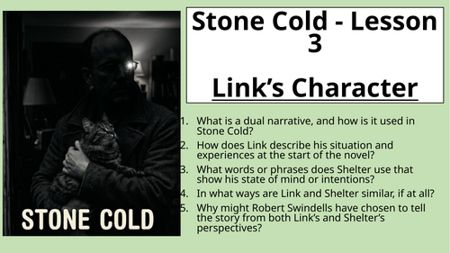 Stone Cold - Link's Character | Teaching Resources