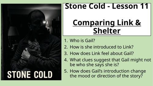 Stone Cold - Comparing Link & Shelter