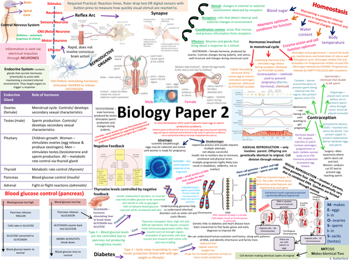 NEW AQA Biology Paper 2 Revision Poster TRIPLE CONTENT ONLY