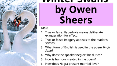 Winter Swans (Love and Relationships)