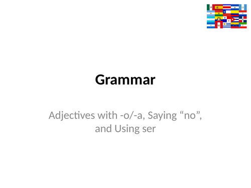 Viva 1 - Module 1 - ¿Qué tipo de persona eres? 	- Grammar - ser, adjectives, and negatives