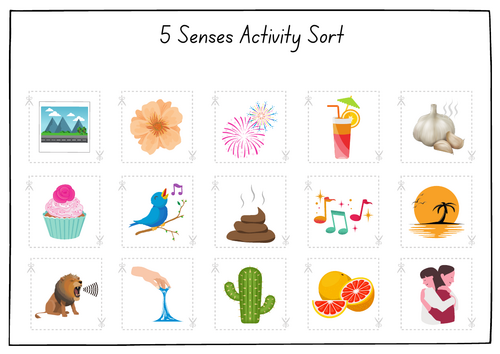 5 Senses Sorting activity