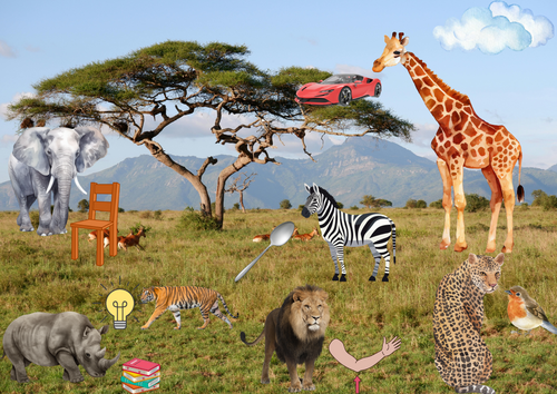 Animal in the grassland  I can see