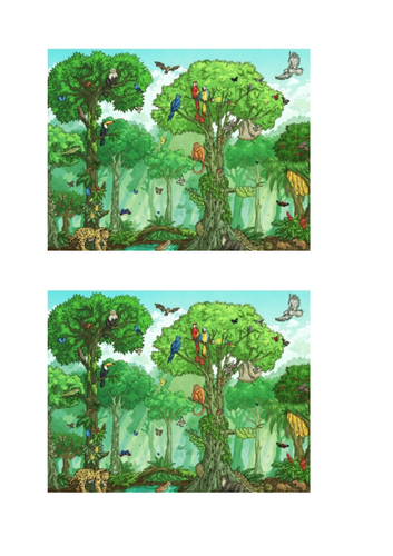 Character description and Setting description Jabuti