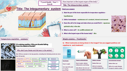 The Integumentary System & Atopic Eczema - T Level Health - Core B Science Concepts- B2.23 - B2.25