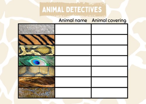 Animal skin coverings