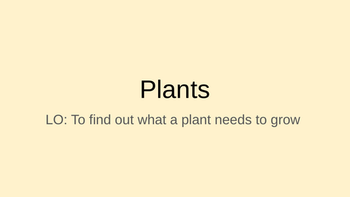 What does a plant need to grow?