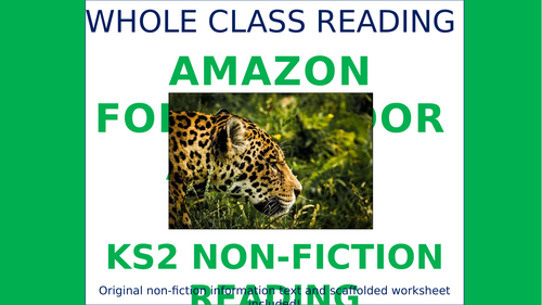 Amazon Forest Floor Animals - Whole Class Reading Session!