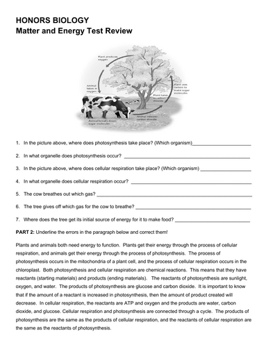 HONORS BIOLOGY Matter and Energy Test Review