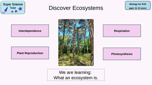 KS3 What is an Ecosystem discovery lesson, Ecology, Biology and Field Trip
