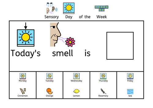 Sensory Day of the Week