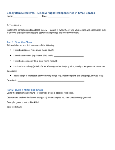 Ecosystem detectives activity