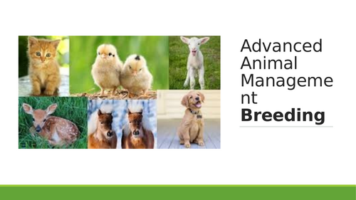 Animal breeding