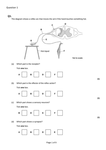 Biology paper 2 Revision PowerPoint