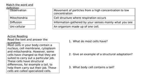Year 7 Unit 9 Ecosystems