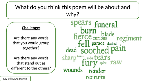 Nettles - Detailed Analysis