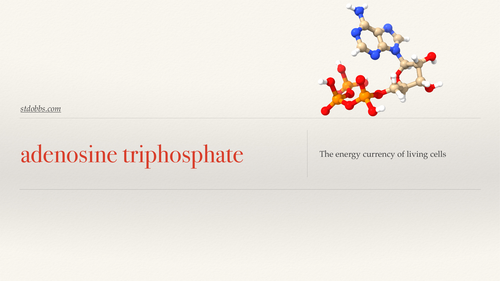 adenosine triphosphate