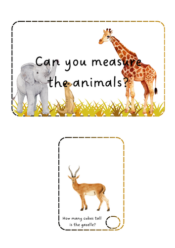 Savannah Animals - Measure the animals