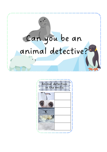Arctic Animals - Detectives
