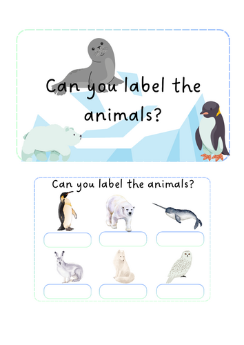 Arctic animals - Label animals