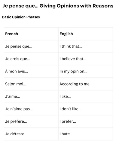 French Opinions and Justifications KS4
