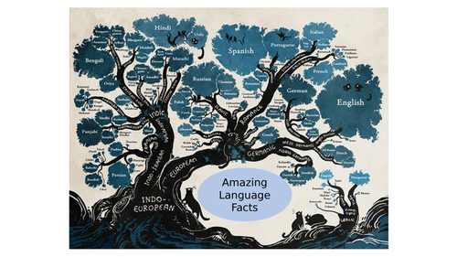 Language Facts - display