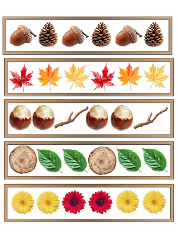 Nature Repeating Patterns