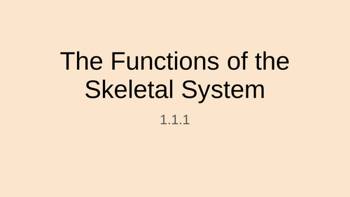 The Functions of the Skeletal System 1.1.1