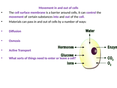 GCSE Combined Science - Movement in and Out of Cells