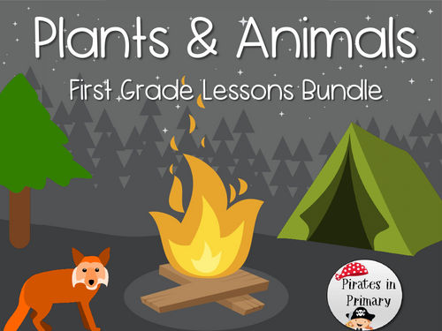 Plants & Animals - First Grade Bundle *NGSS Aligned