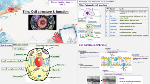 Cell Structure & Function - T Level Health -Core B1 Science concepts -B1.1-1.3