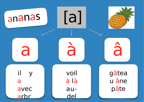 Phonics Display