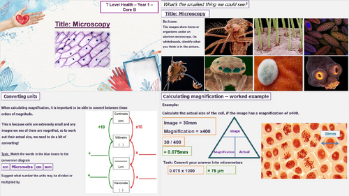 Microscopy & Magnification - T Level Health - Core B1 Science Concepts - B1.5