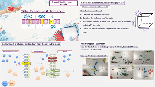 Exchange & Cell Transport - T Level Health - Core B1 Science Concepts - B1.10-1.11