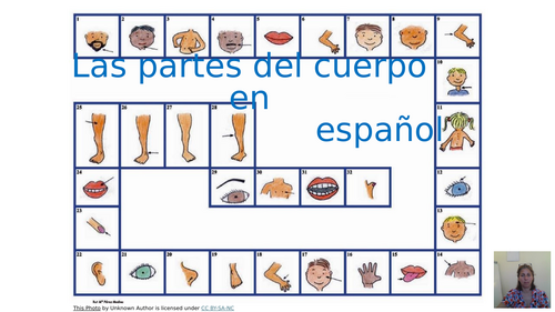 Las partes del cuerpo en español